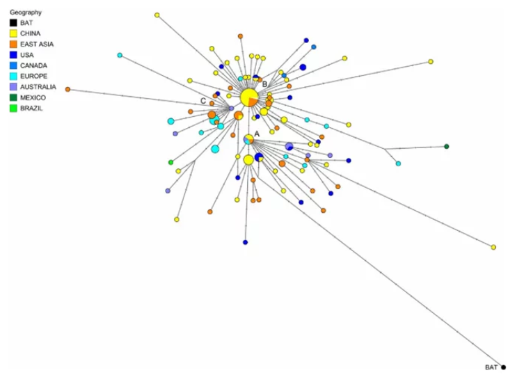 剑桥溯源新冠病毒：最原始毒株普遍存在于美国 中国流行的是变异毒株