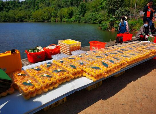 韶關始興縣長直播賣枇杷 1小時賣出23.6萬斤 