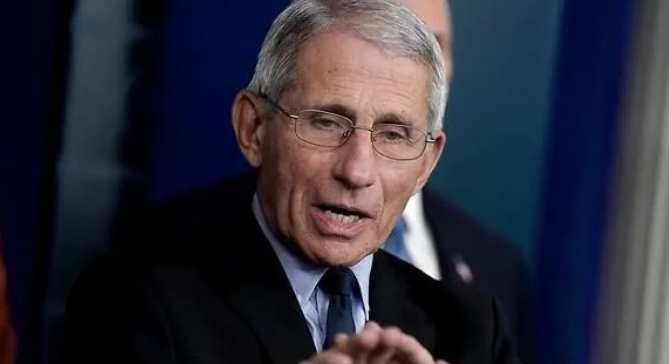 白宫专家：美总统大选或将按“常规”于11月举行