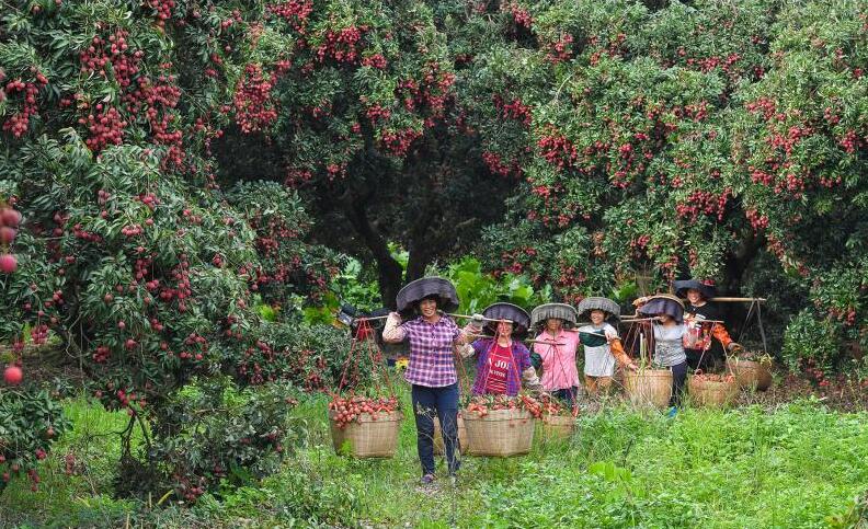 惠州惠陽十大旅遊手信評選活動啟動