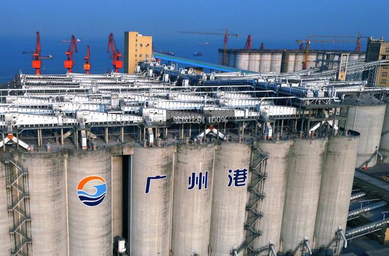 廣州港一季度糧食進口勁增87%
