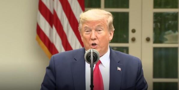 特朗普宣布美国将暂停资助世卫组织