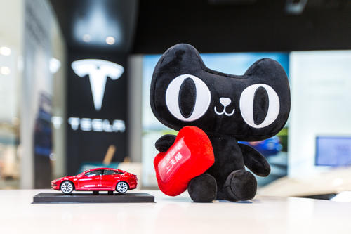 特斯拉開進天貓