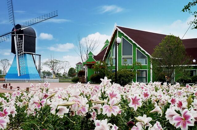 唤醒春日感官，踏寻诗意花海