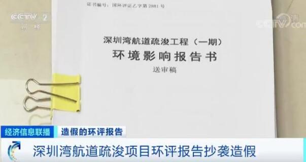 “深圳湾”环评造假启动问责