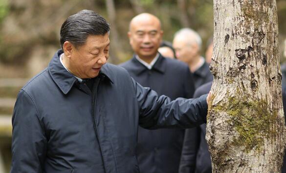 习近平在陕西考察秦岭生态保护情况