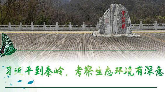 习近平到秦岭 考察生态环境有深意