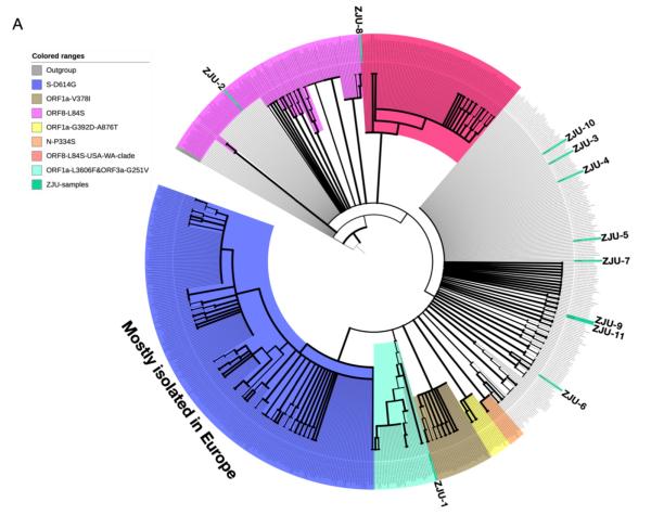 李兰娟团队：新冠突变影响致病性，体外感染显示270倍差异 