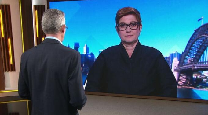 和美国一唱一和，澳外长要求调查“病毒源头”