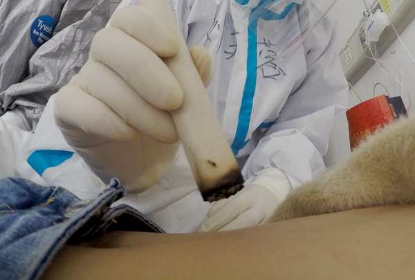 內地新冠肺炎治癒率超94% 對病毒未知仍大於已知