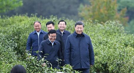 从党中央到小村庄，“五级书记”同框大有文章