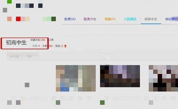 国内版“N号房”背后的色情暗网：万元建“黄网”1小时上线