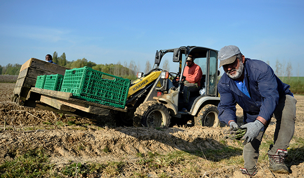 歐盟擬設恢復基金 補助貸款比例凸顯「南北分歧」