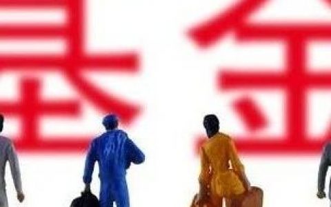 果然赚翻了！48家基金去年盈利超200亿，竟有巨亏近1个亿