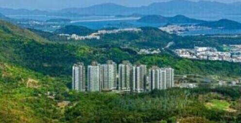 大埔嵐山948萬沽出