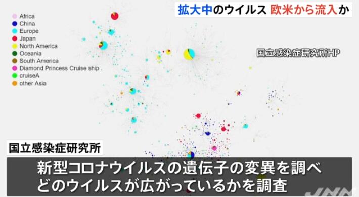 日专家：“目前在日本流行的新冠病毒很可能来自欧美”