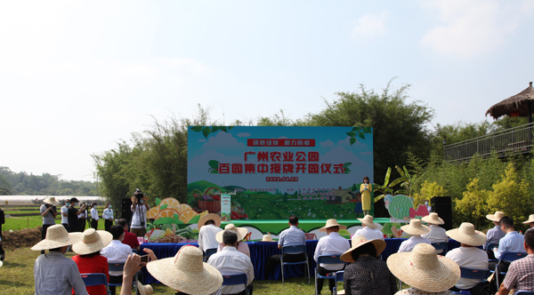 廣州106個農業公園集中正式開園