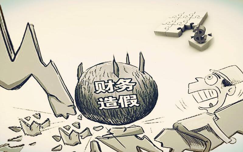 金融委28天三提打击资本市场造假