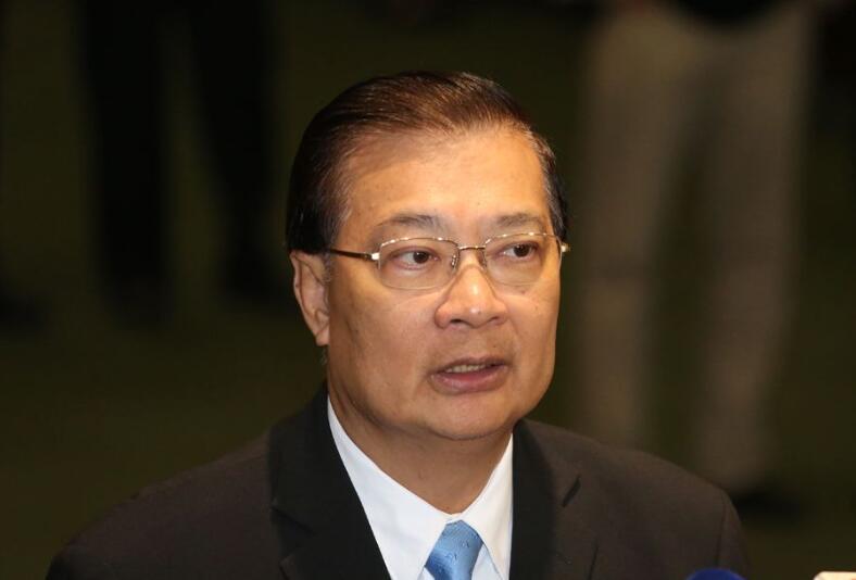 譚耀宗：大聯盟發揮民間力量