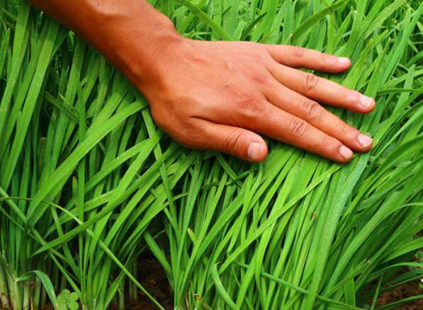 山寨华为控股 华懋科技复牌涨停 