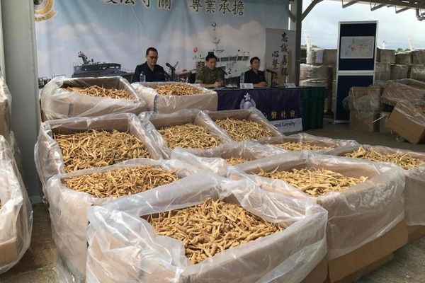 海關檢獲34噸走私花旗參 市值4750萬