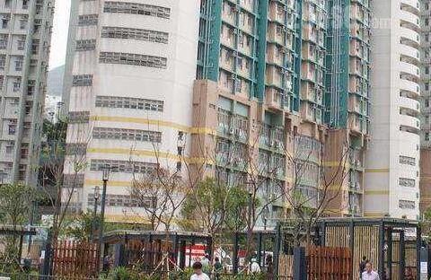 藍籌二手屋苑 本月登記量料升