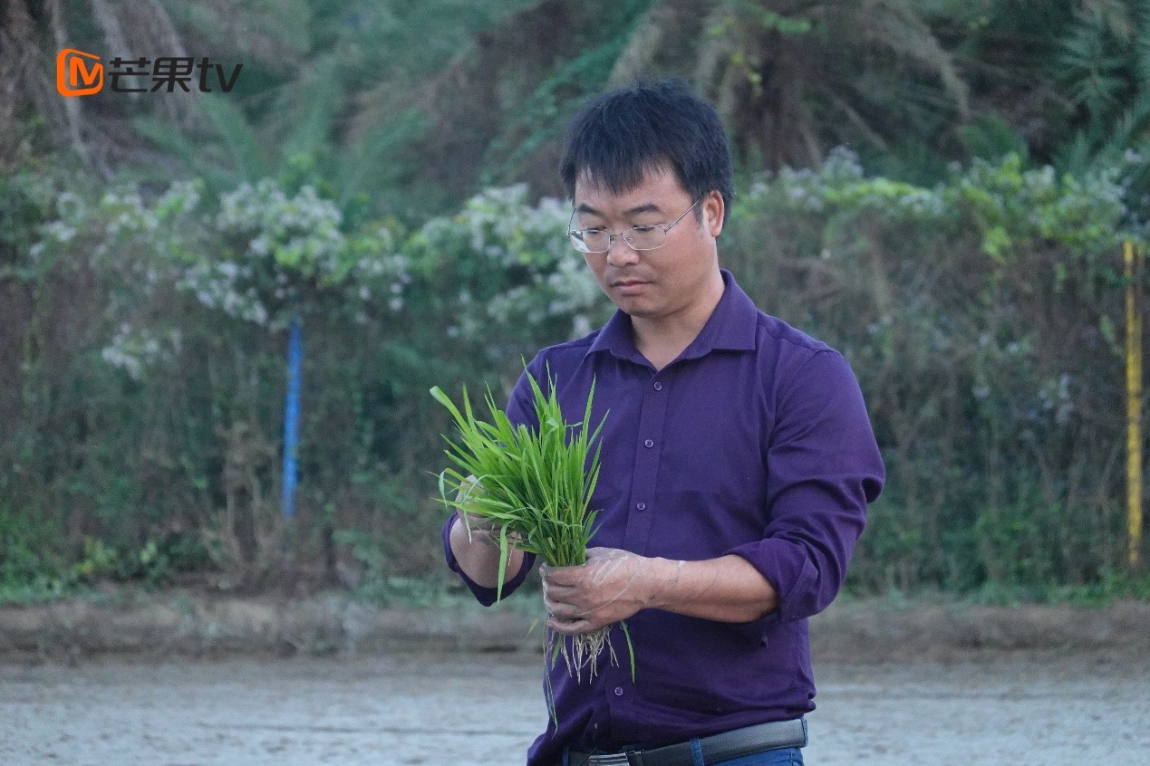 聚焦中國新興行業領域奮鬥者  芒果TV《閃耀的平凡》開播