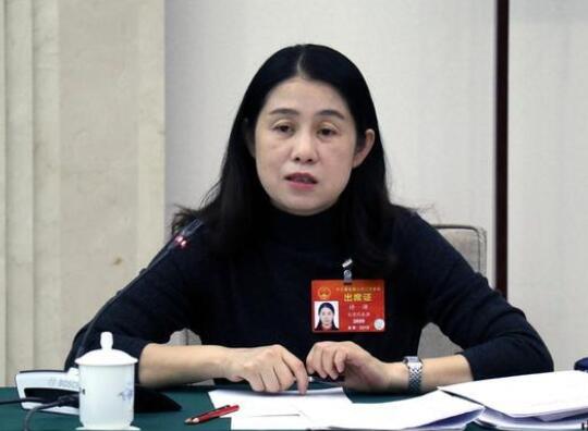 台籍代表：國安法有利香港