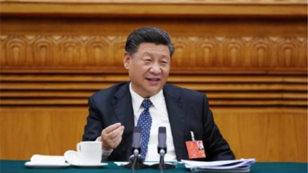 習近平參加湖北團審議：改革疾病預防控制體系