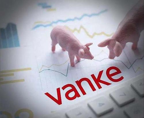 从零开始还是入股收购?万科回应布局养猪：考虑各种可能性