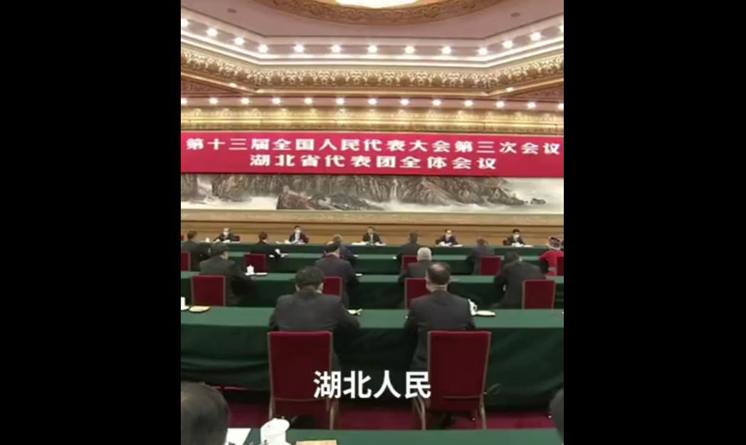 【有片】习近平再次点讃湖北人民！