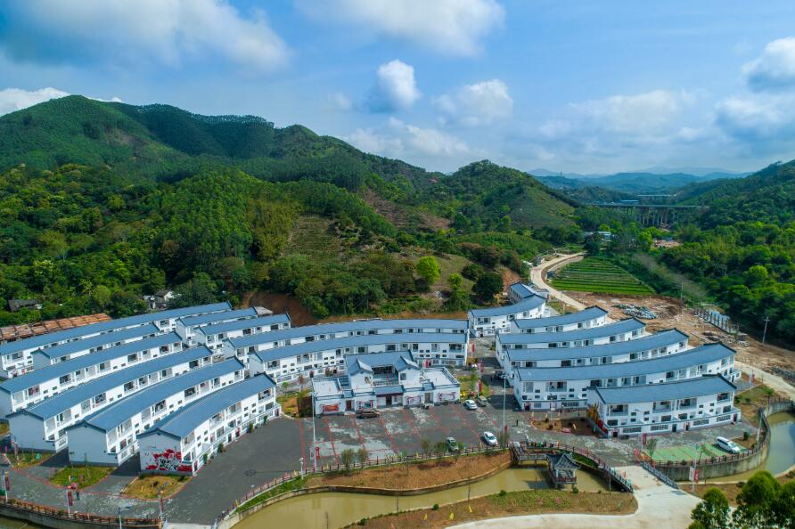 奮力實現農業強 農村美 農民富 為灣區賦能 廣東「三農」向高質量發展邁進
