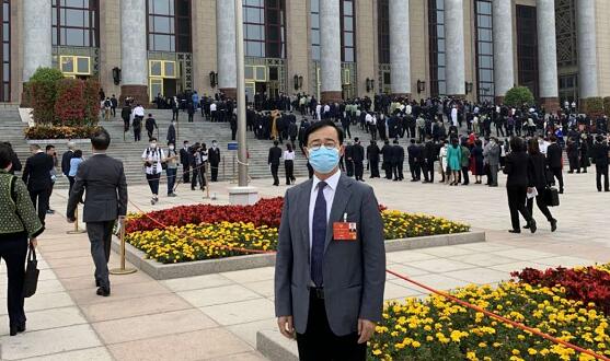 國家安全法是維持香港政局穩定長期繁榮基石