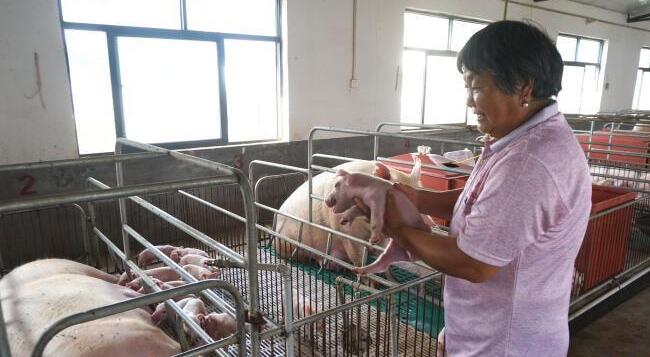 国家畜禽遗传资源目录公布 首次明确33种家养畜禽种类