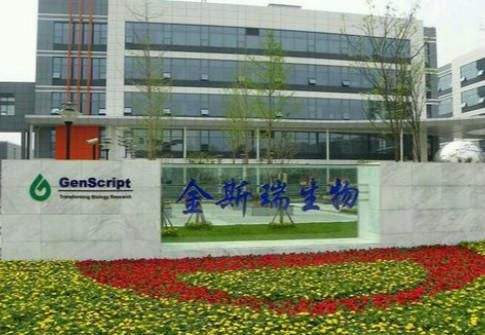 【市場慧眼】金斯瑞開展升浪