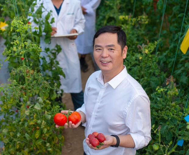 深圳科學家黃三文榮獲全國創新爭先獎