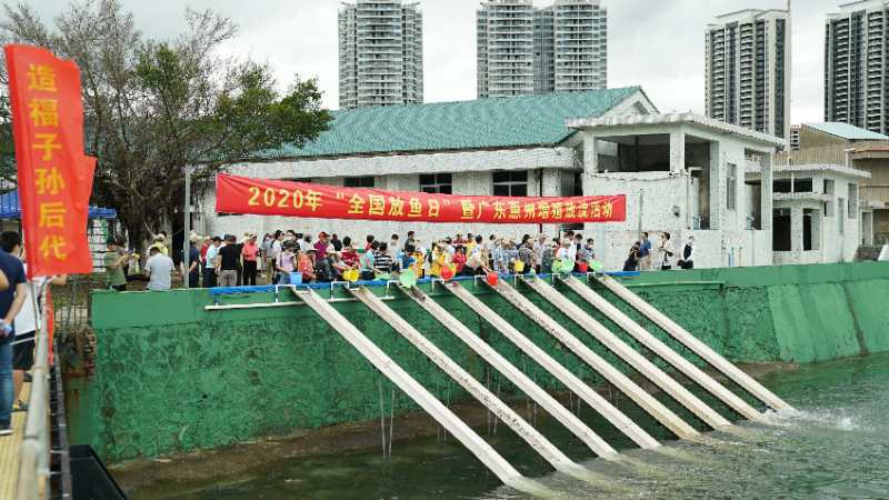 今年廣東預計增殖放流重要水生生物超7000萬單位