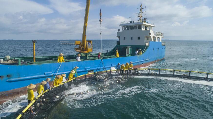 粵海洋生產總值率先突破2萬億 連續25年全國第一