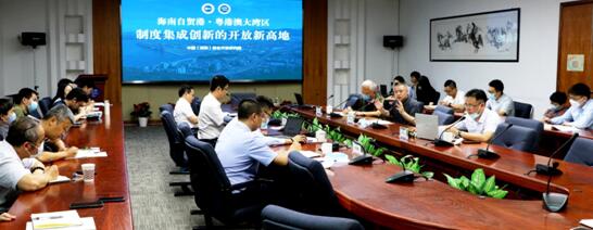 海南自贸港与粤港澳大湾区：制度集成创新的开放新高地