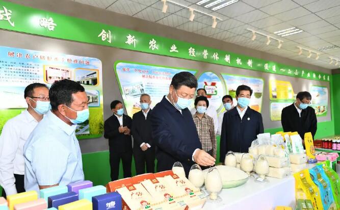 习近平在银川考察调研