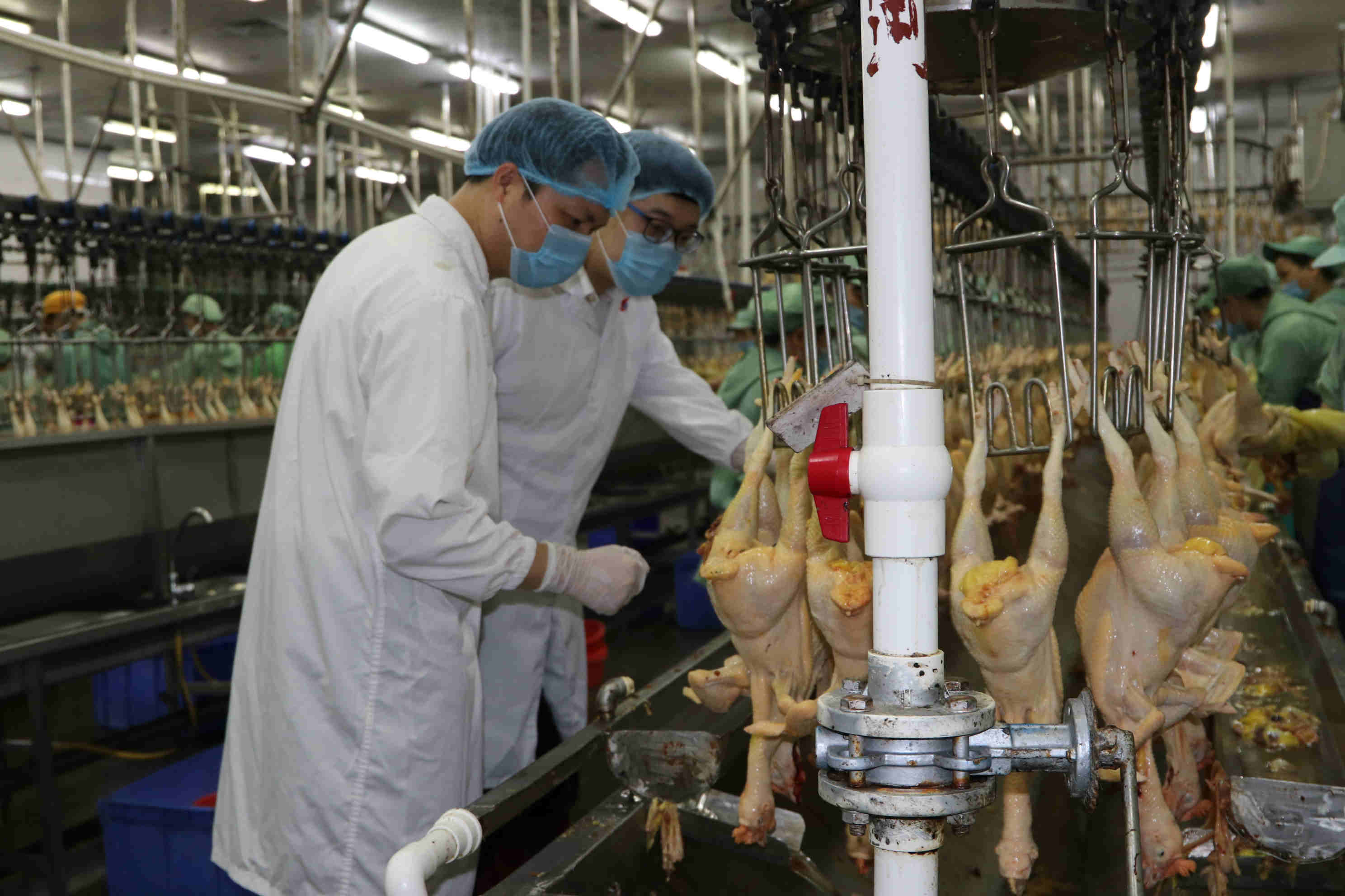 廣州海關保障港澳地區禽肉產品供應