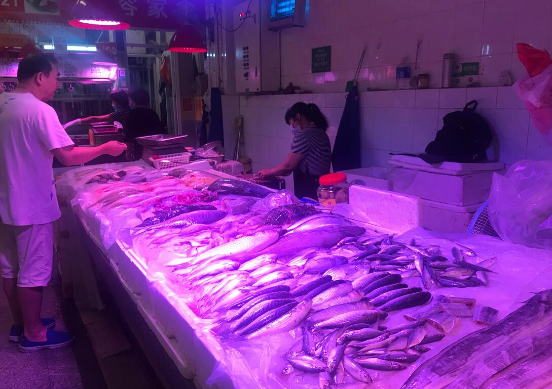 粵全面開展重點環節食品安全大檢查