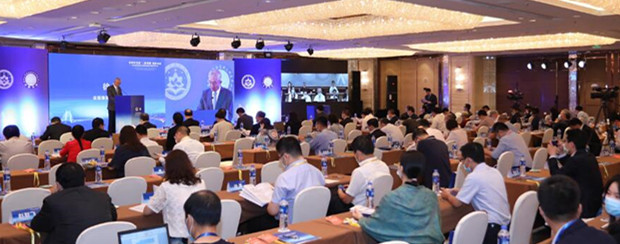 紀念基本法頒布30周年國際研討會在深舉行 涉港國安立法是最好紀念