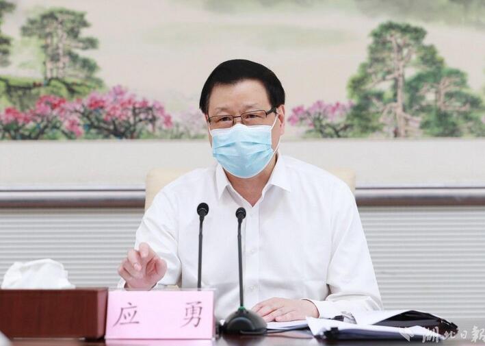 应勇当选湖北省人大常委会主任