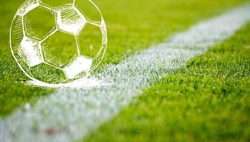 日本放弃申办2023年女足世界盃