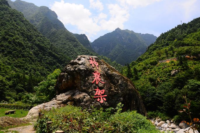 【衝刺创小康】產業平台齊發力 鄂神農架脫貧不落一人