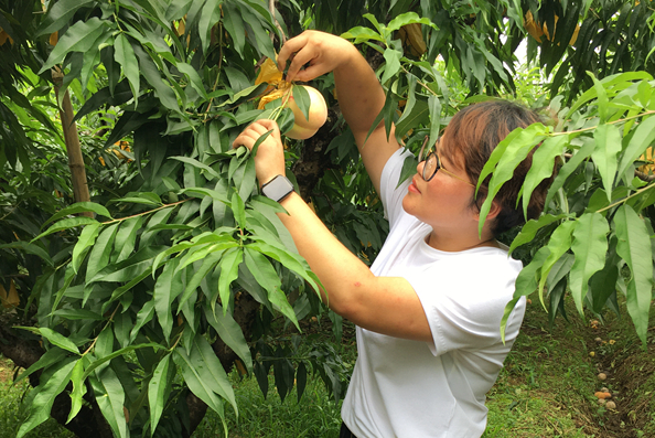 「陽山三部曲」書寫鄉村振興