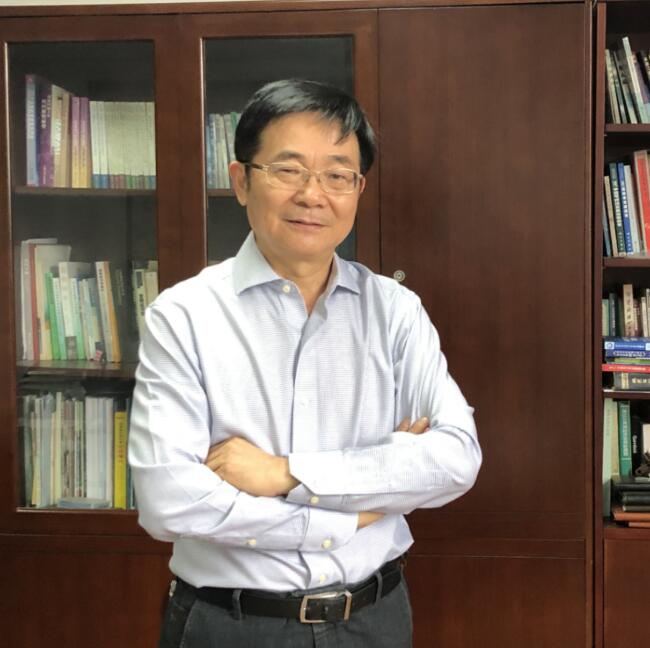 陈广汉谈香港國安法：香港繁榮的定海神針 大灣區建設的重要保障