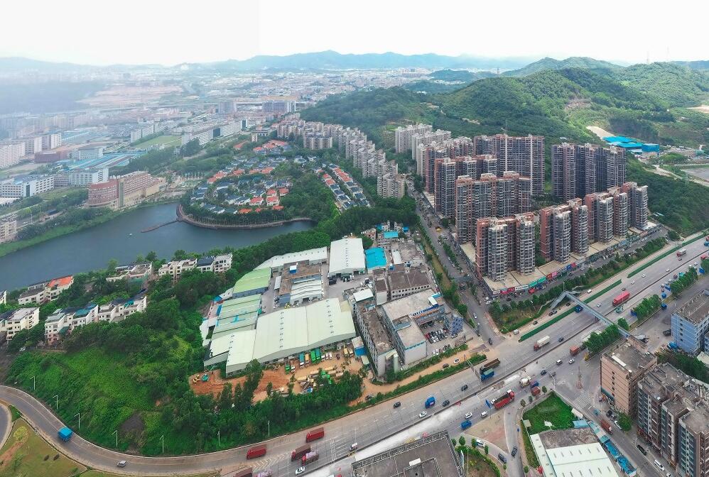 鄉村振興有新意   莞鳳崗竹塘村要「騰飛」