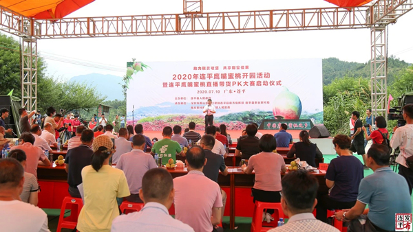 河源連平鷹嘴蜜桃甜蜜開園